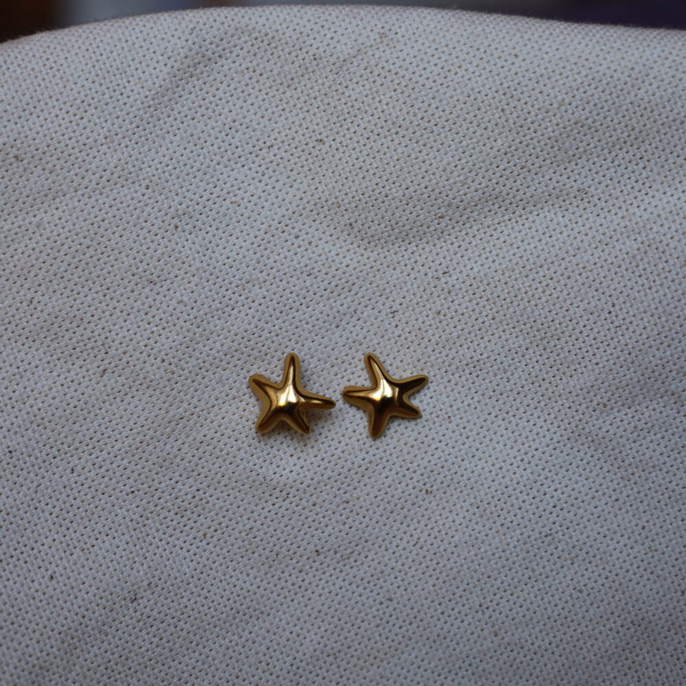 Stiara stud fülbevaló - Image 2